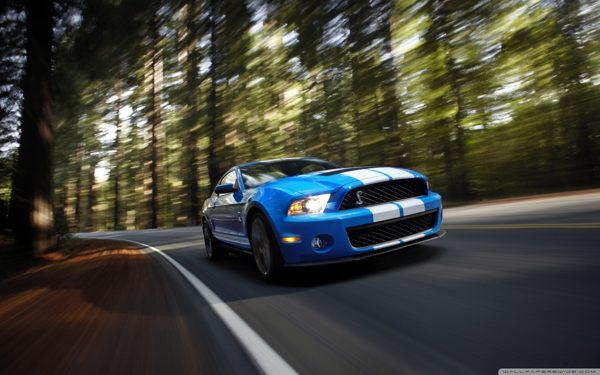 ford_shelby_gt500_2-wallpaper-1280x800