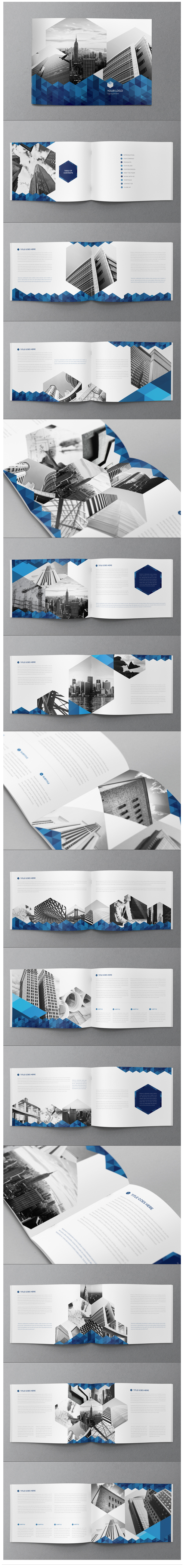 Blue Hexo Brochure on Behance