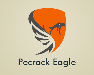 Eagle logo design (11)