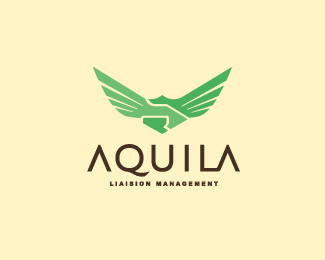 Eagle logo design (19)