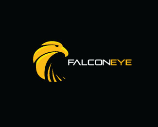 Eagle logo design (24)