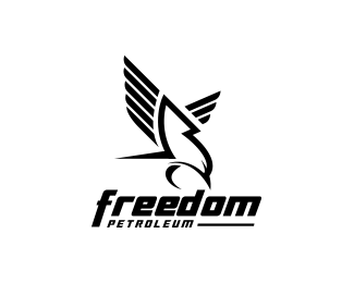 Eagle logo design (25)