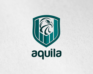 Eagle logo design (4)